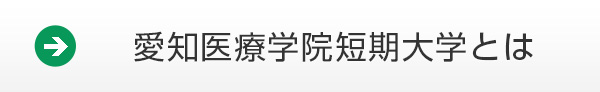 愛知医療学院短期大学とは