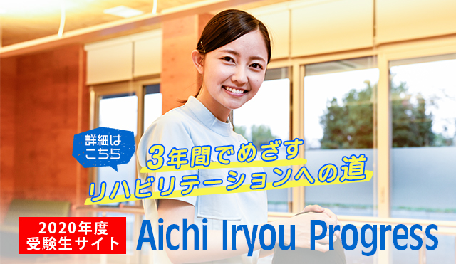 Aichi Iryou Progress