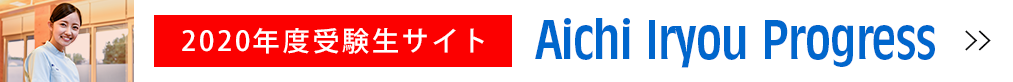 Aichi Iryou Progress
