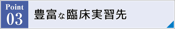 豊富な臨床実習先